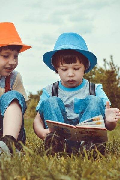 să iubească lectura