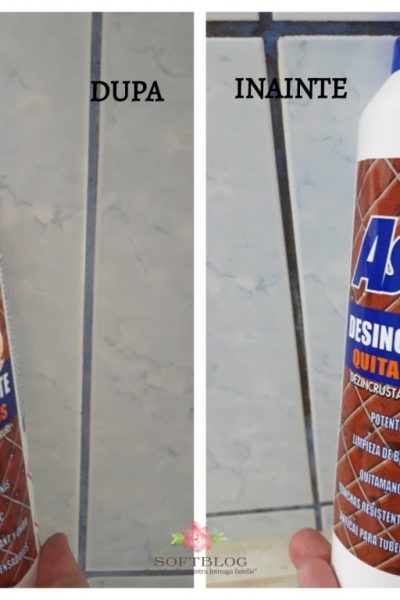 soluția dezincrustantă pentru rosturi Asevi