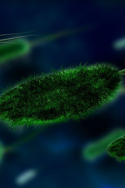 teorii despre apariția virușilor