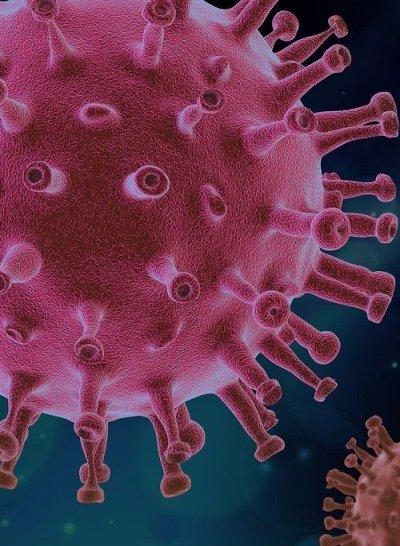 lucruri despre viruși