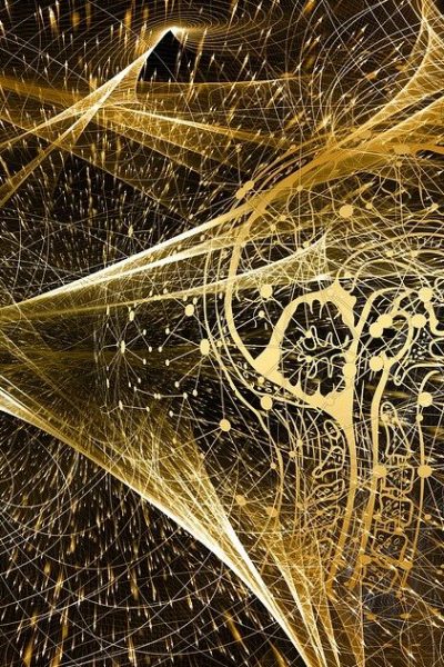 plasticitatea creierului