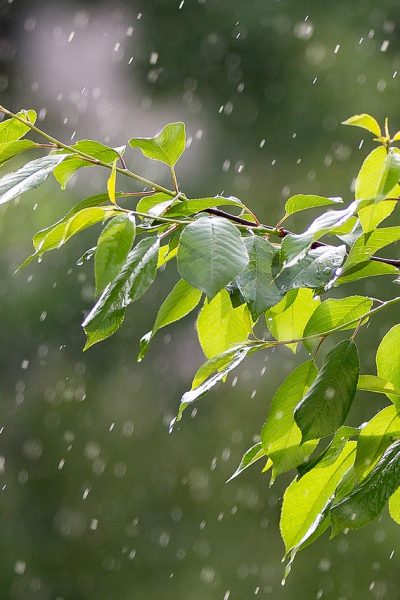de unde vin precipitațiile