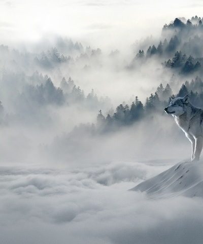 solstițiul de iarnă