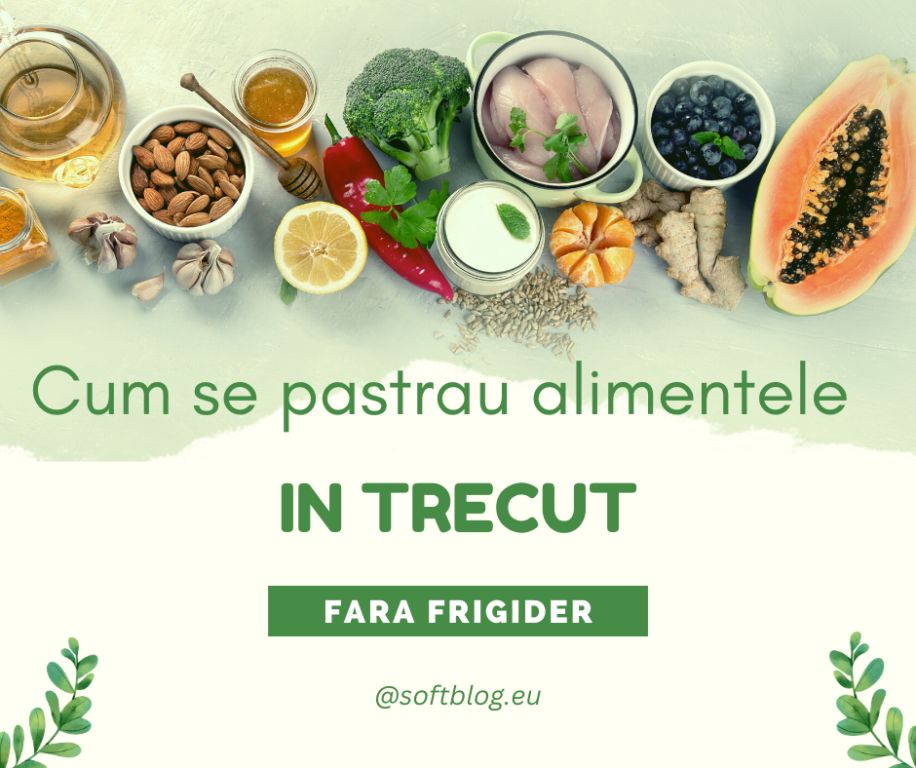 cum se păstrau alimentele în trecut fără frigider