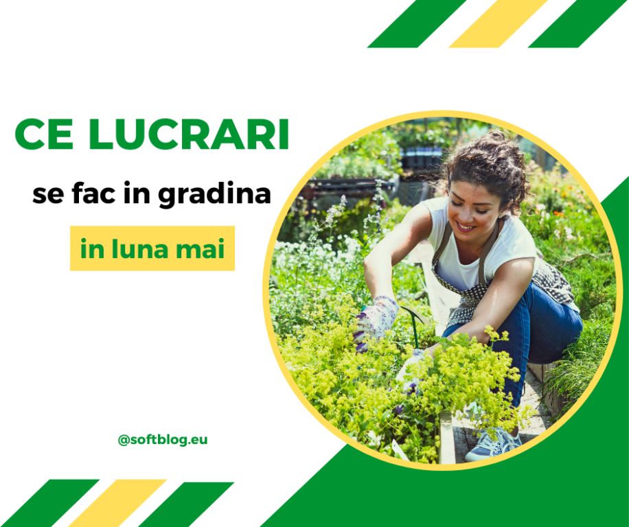 lucrări în grădină