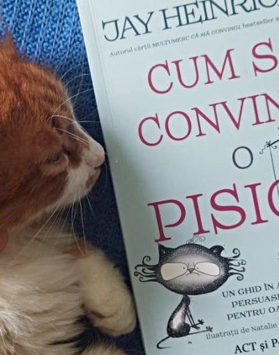 cum să convingi o pisică