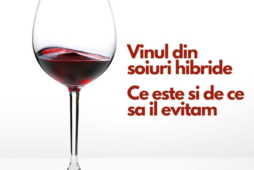 vinul din soiuri hibride
