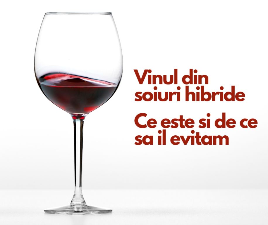 vinul din soiuri hibride