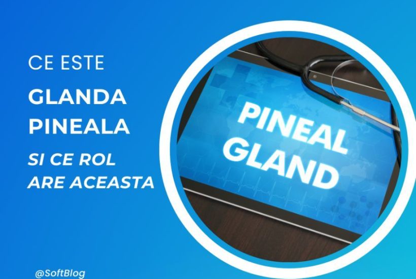 glanda pineală