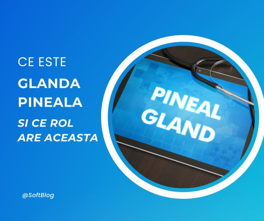 glanda pineală