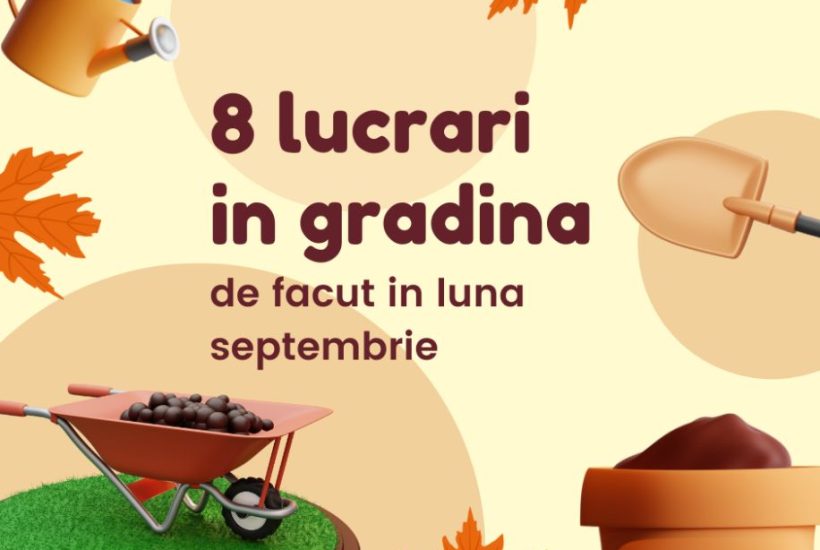 lucrări în grădină