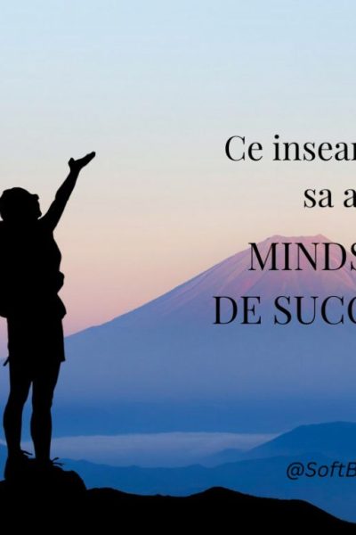 mindset de succes