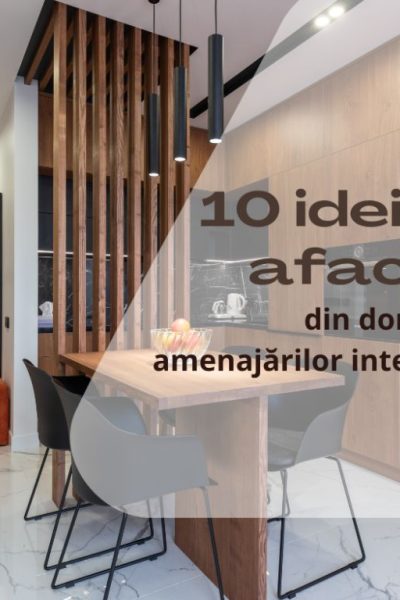 idei de afaceri amenajări interioare