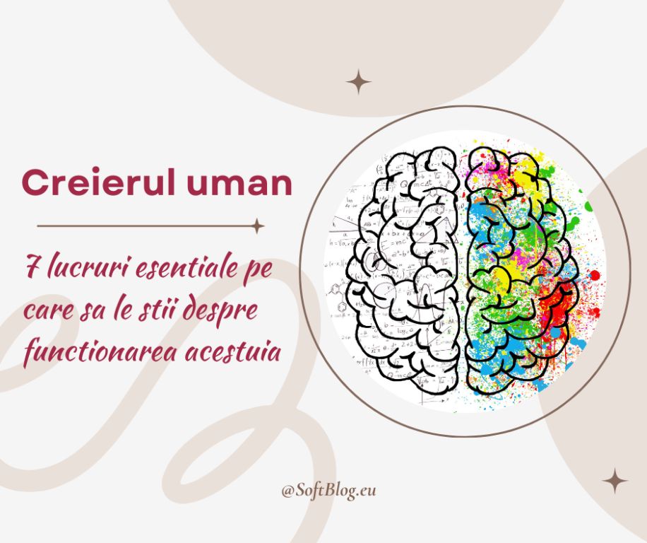creierul uman
