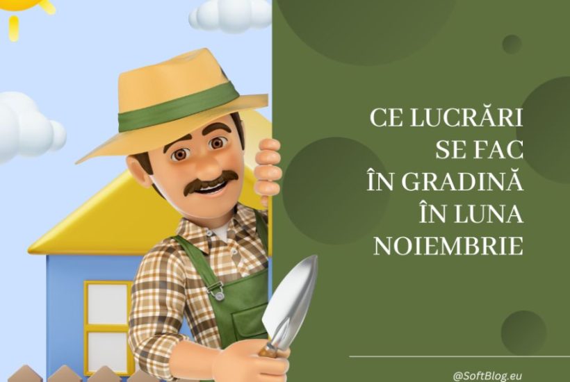 lucrări în grădină