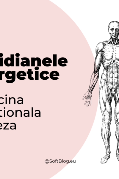 meridianele energetice