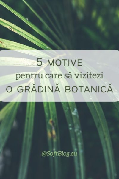 grădină botanică