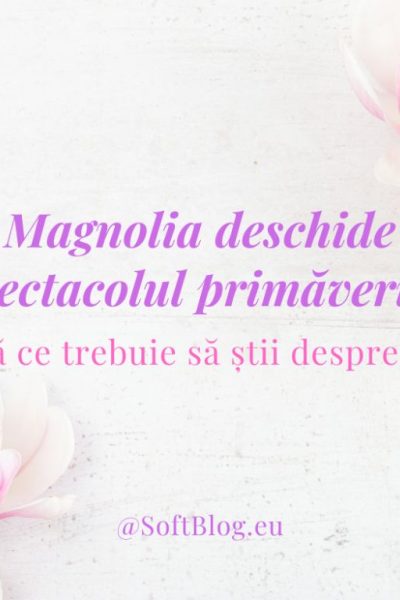 magnolia