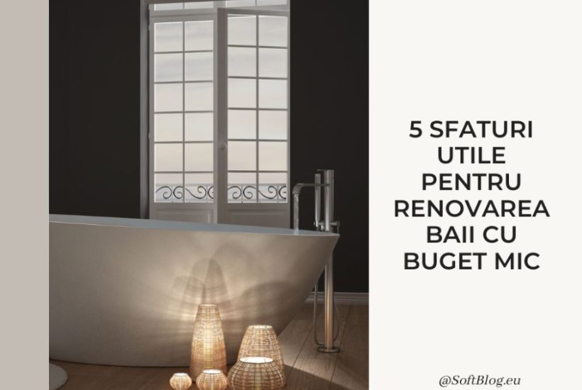 renovarea băii