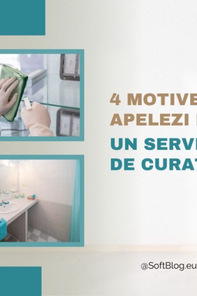serviciu de curățenie
