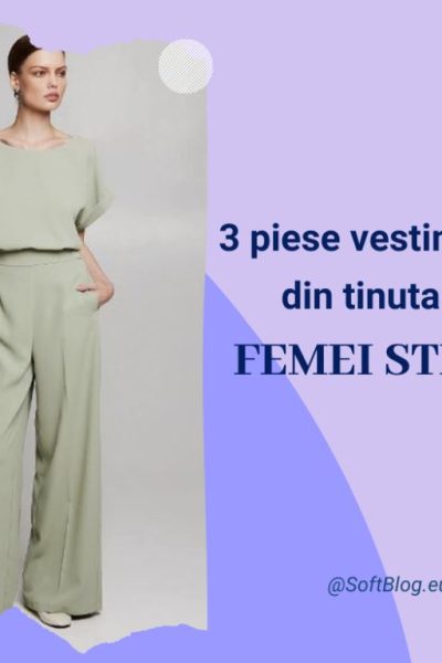 ținuta unei femei stilate