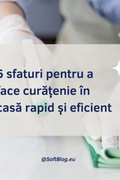 curățenie în casă rapid și eficient
