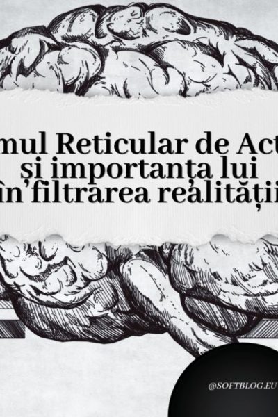 sistemul reticular de activare și importanța acestuia