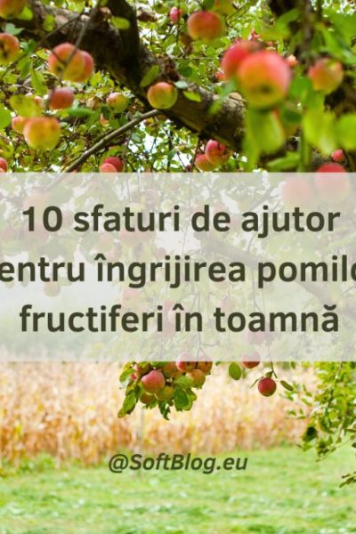 îngrjirea pomilor fructiferi