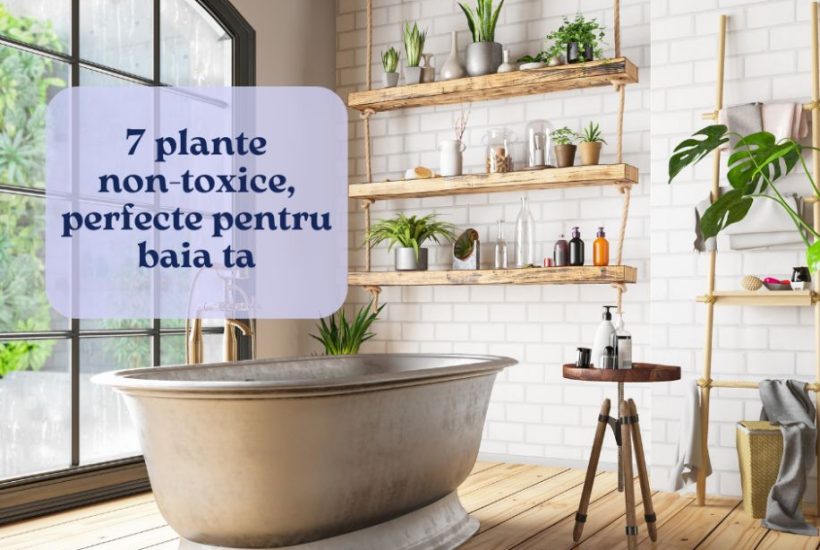 plante non toxice
