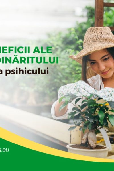 beneficii ale grădinăritului asupra psihicului uman