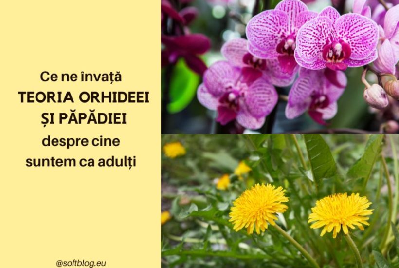 teoria orhideei și păpădiei