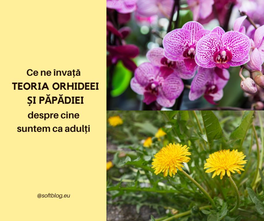 teoria orhideei și păpădiei