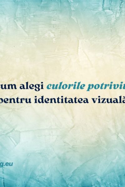 identitatea vizuală