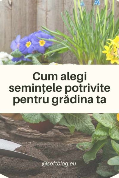 semințele potrivite