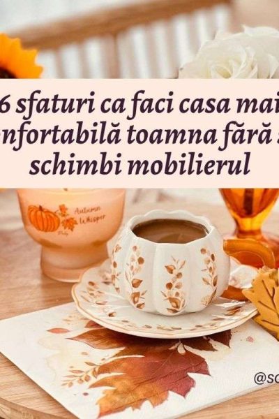 casa mai confortabilă